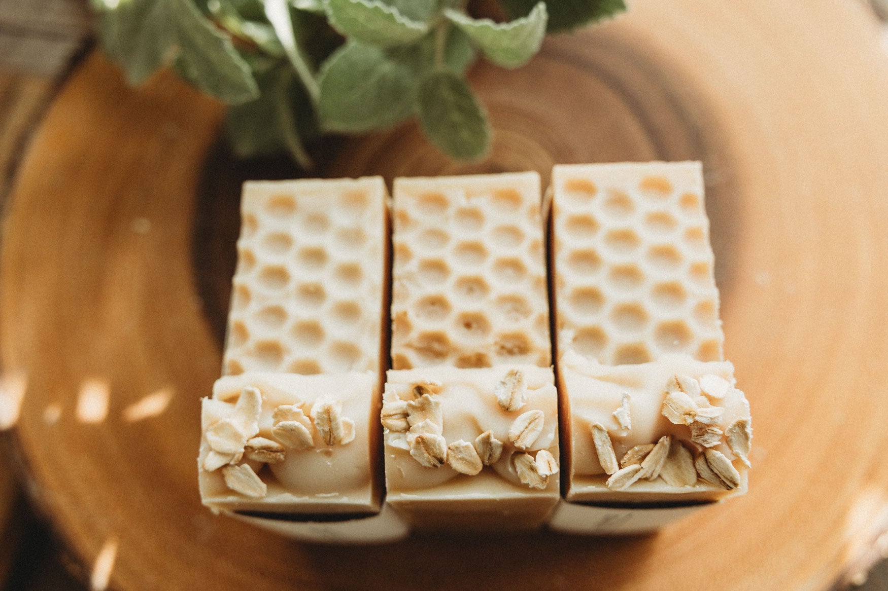 Three square honey oat milk bars on a wooden surface