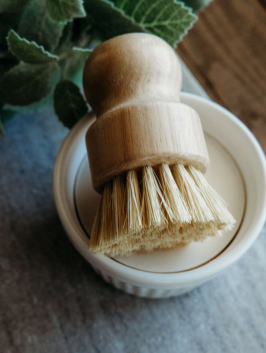 Ramekin dish filled with organic coconut and castor oil dish soap with brush on top on a marble board with greenary in the background.