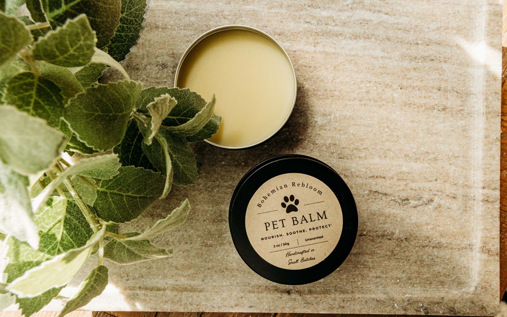 Pet balm in a tin with a black lid on a wooden surface, surrounded by green leaves.