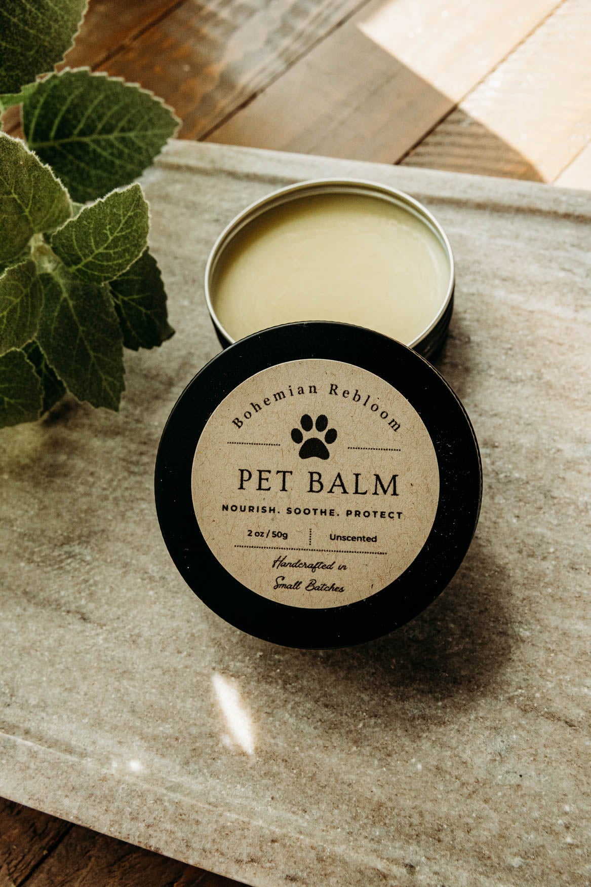 Pet balm in a black container on a wooden surface with a plant in the corner.